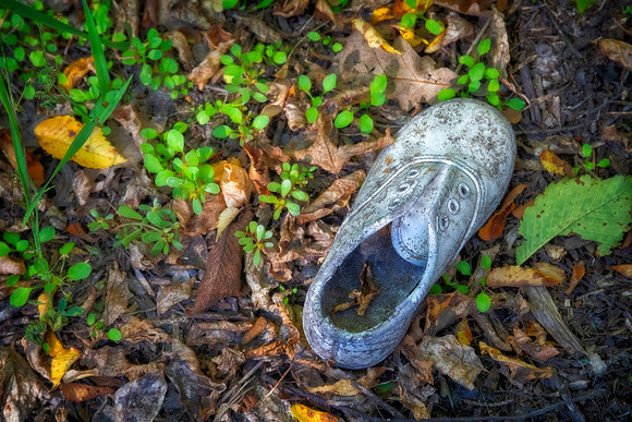 Child's Shoe, San Haven Sanitarium, Dunseith, ND