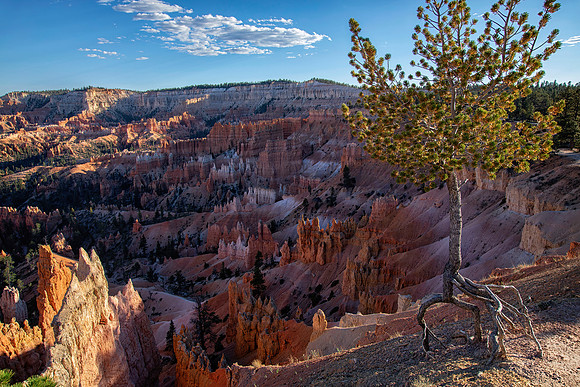 Bryce Canyon National Park, UT