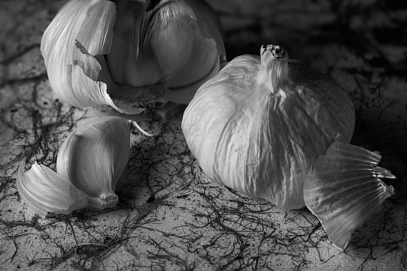 Garlic, Lisle, IL