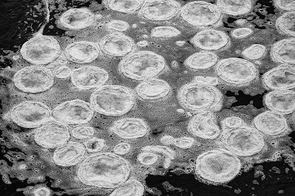 Pancake Ice, Morton Arboretum, Lisle, IL