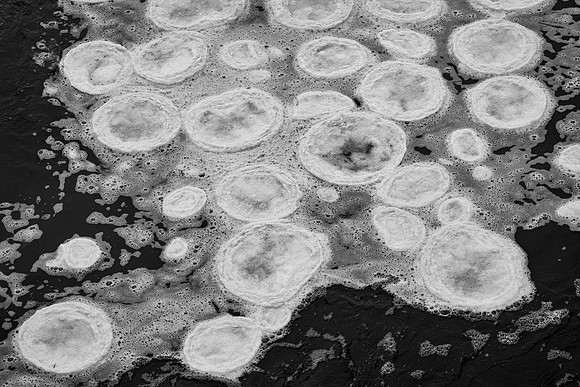 Pancake Ice, Morton Arboretum, Lisle, IL
