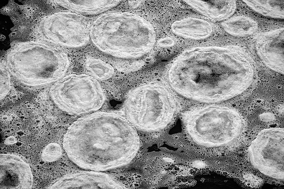 Pancake Ice, Morton Arboretum, Lisle, IL