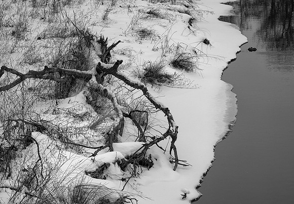 Snowy Bank, DuPage River, Lisle, IL