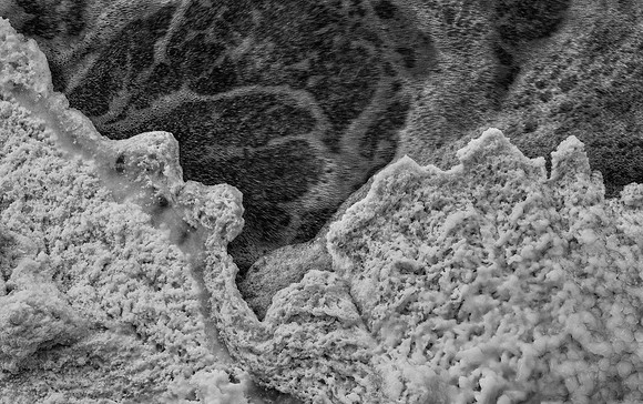 Frozen Foam, Fox River, Geneva, IL