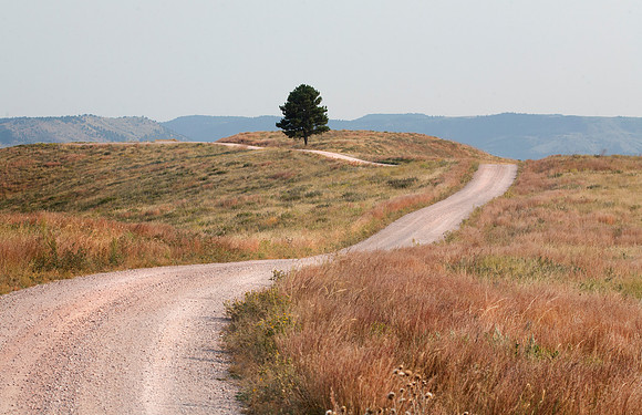 Winding Road, Custer County, SD