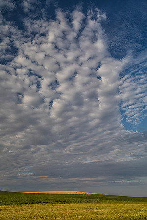 Palouse Sky, Morning, Genesee, ID