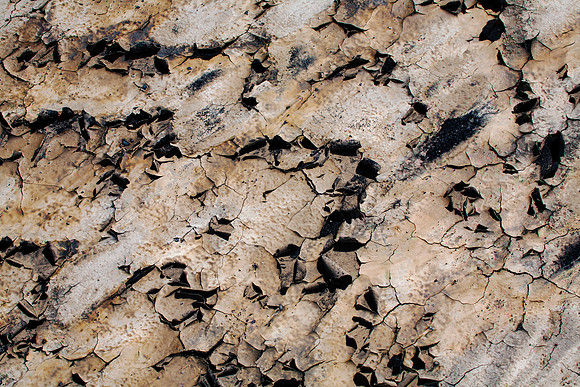 Patterns in Clay, Bisti/De-Na-zin Wilderness, NM