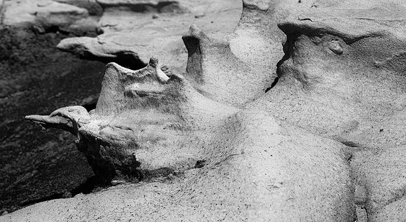 Wings Abstract, Bisti/De-Na-Zin Wilderness, NM