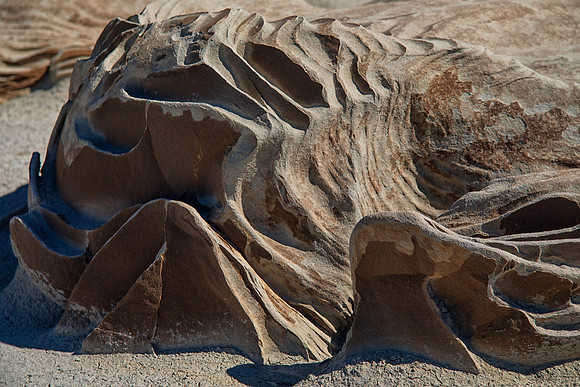 Bisti/De-Na-Zin Wilderness Study Area, Farmington, NM