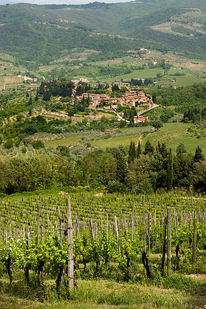 Greve in Chianti from Above, Italy