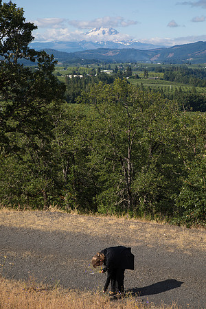 Wildflower Lady, Sheryl at Panorama Point, Hood River, OR (2019)