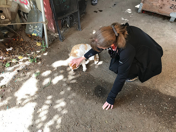 Sheryl and Kitty at Draper Girls Farm, Hood River, OR (2019)