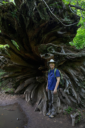 Sheryl, Grove of the Patriarchs, Mt. Rainier National Park, WA (2019)