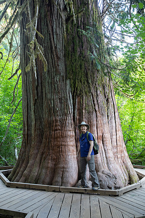 That's a Big Tree, Sheryl, Grove of the Patriarchs, Mt. Rainier National Park, WA (2019)
