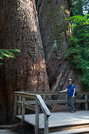Sheryl and Twin Douglas Firs, Grove of the Patriarchs, Mt. Rainier National Park, WA (2019)