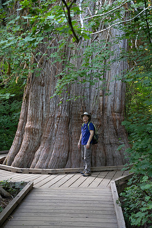 Sheryl and Douglas Fir, Grove of the Patriarchs, Mt. Rainier National Park, WA (2019)