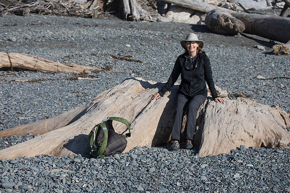 On the Stump of a Giant, Ruby Beach, Olympic National Park, WA (2019)