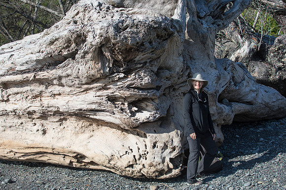 Sheryl at Fallen Giant, Ruby Beach, Olympic National Park, WA (2019)