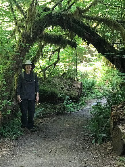 Sheryl Under Moss-Covered Arch, Hoh, Rainforest, Olympic National Park, WA (2019)