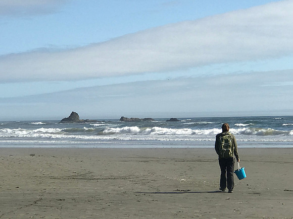 Sheryl Gathering Agates and Shells, Rialto Beach, Olympic National Park, WA (2019)