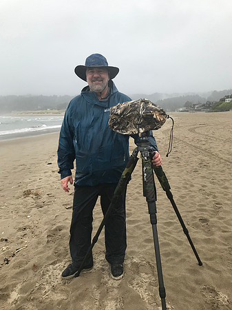 (2019)