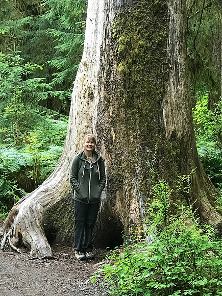 Sheryl at Base of Douglas Fir, Hoh Rainforest, Olympic National Park, WA (2019)