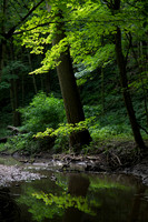 Starved Rock State Park, IL