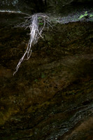 Starved Rock State Park, IL