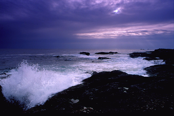 Point Lobos Dream, Carmel, CA