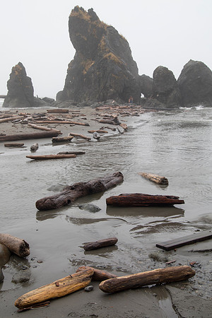 Sea Stack and Driftwood, Ruby Beach, Olympic National Park, WA