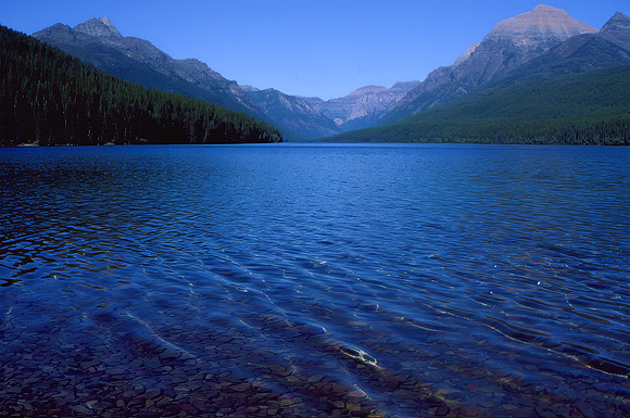Bowman Lake, Glacier National Park, MT