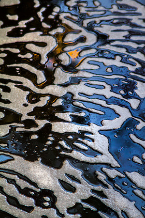 Patterns on the Pond, San Diego Zoo Safari Park, Escondido, CA