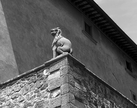Vigna Maggio, Chianti, Italy