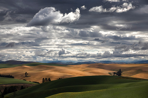 Palouse Grand Landscape, WA