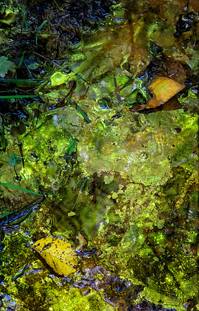 Iridescent Runoff, Munising Falls, Pictured Rocks National Lakeshore, Munising, MI