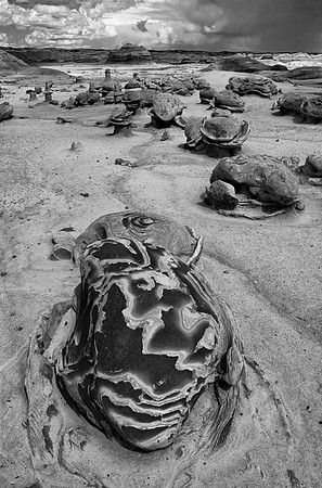 Cracked Eggs, Bisti/De-Na-Zin Wilderness, NM