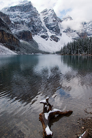 Driftwood, Moraine Lake, Valley of the Ten Peaks, Banff National Park, Alberta, Canada