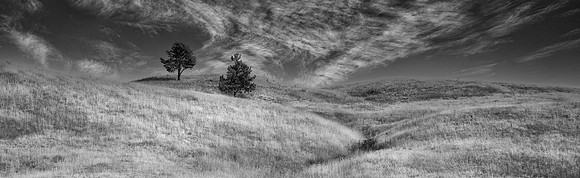 Wind Cave Hillside, South Dakota