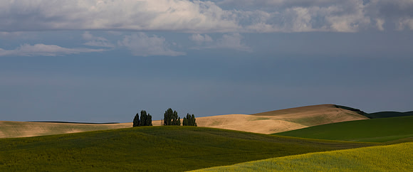 Palouse Rolling Hills, Washington