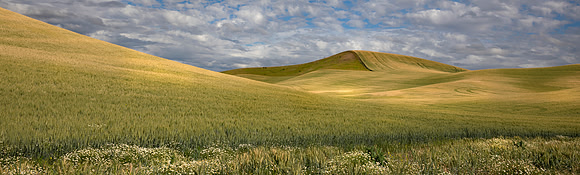 Colfax, Washington