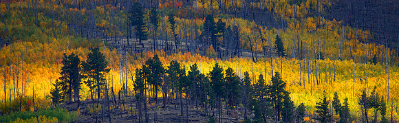San Juan Autumn, Colorado