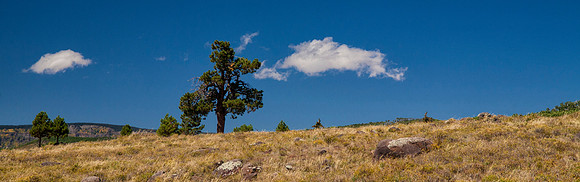 Scenic Route 12, Utah