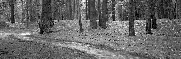 Yosemite Valley,, California
