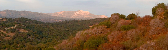 Sequoia National Park, California