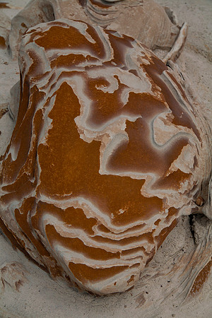 Cracked Eggs, Bisti/De-Na-Zin Wilderness, NM