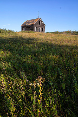 Abandoned Homestead, Ward County, ND