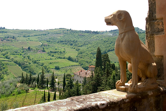 Vigna Maggio Vista, Vitigliano, Italy