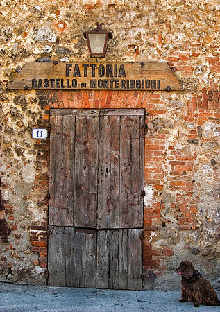 Dog at the Fattoria, Monteriggioni, Italy (May 19, 2006, 9:12am)