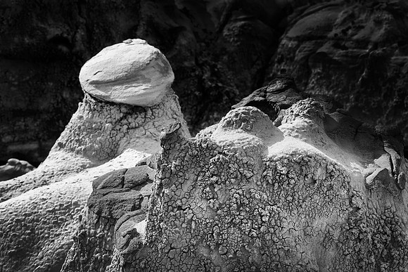 Petrified Sculpture, Bisti/De-Na-Zin Wilderness, NM