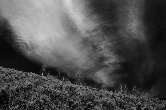 Hillside, Grand Teton National Park, WY
